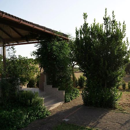 Accogliente Villa Con Piscina Caltagirone Exteriör bild