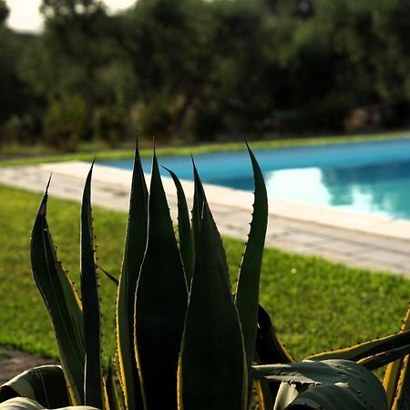 Accogliente Villa Con Piscina Caltagirone Exteriör bild