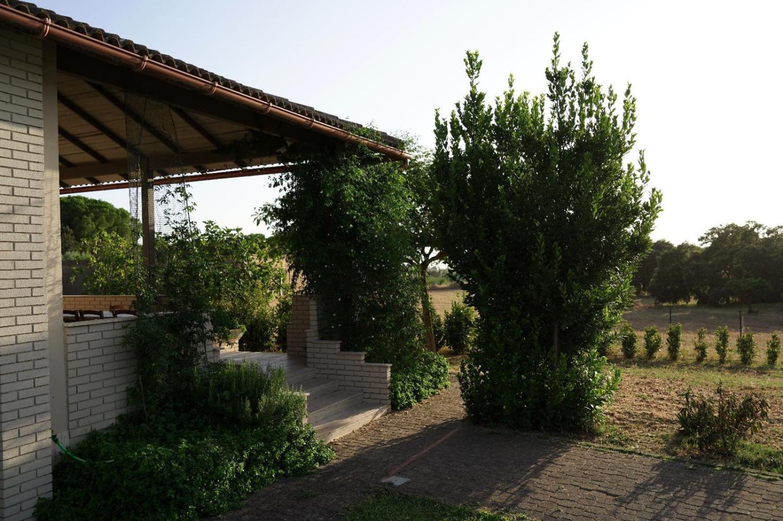 Accogliente Villa Con Piscina Caltagirone Exteriör bild