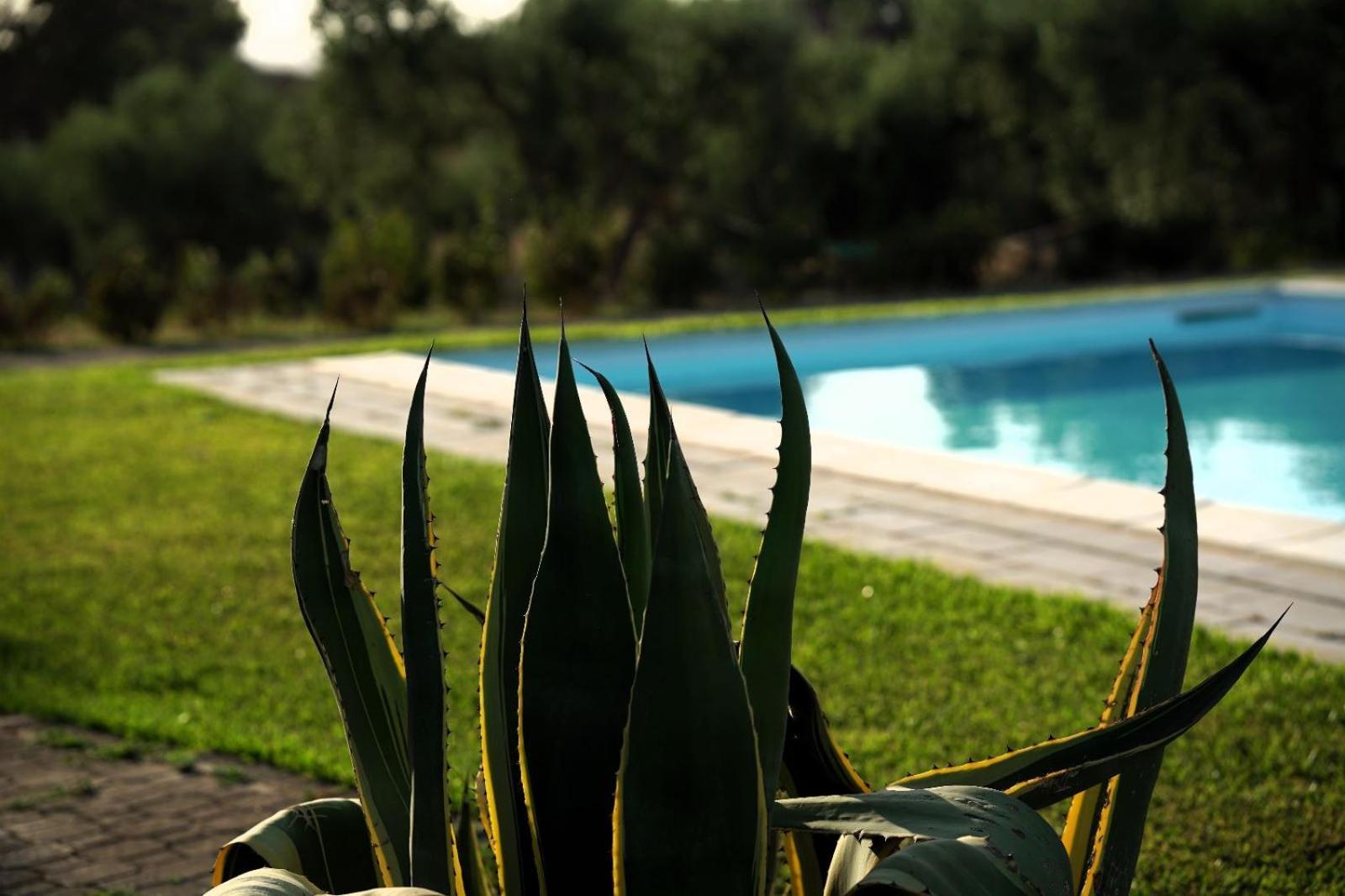 Accogliente Villa Con Piscina Caltagirone Exteriör bild