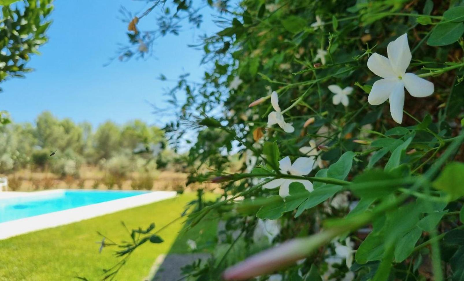Accogliente Villa Con Piscina Caltagirone Exteriör bild