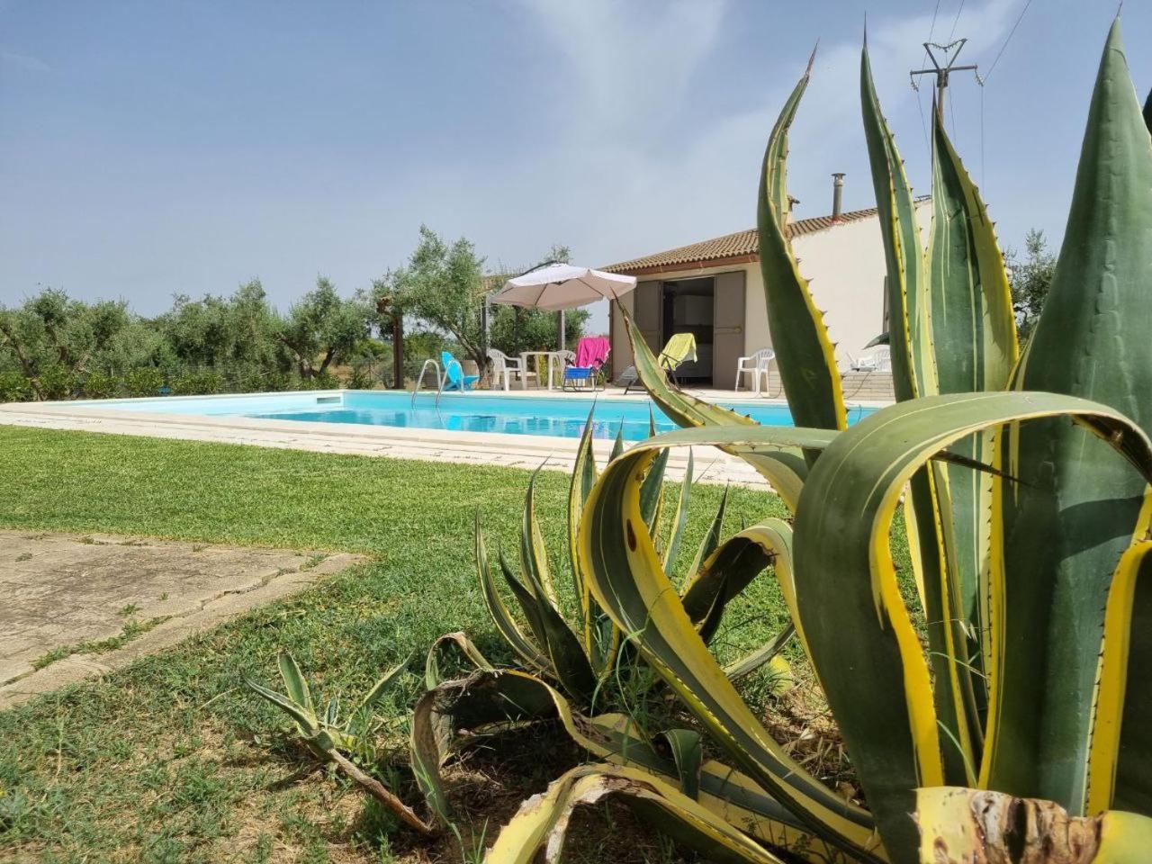 Accogliente Villa Con Piscina Caltagirone Exteriör bild