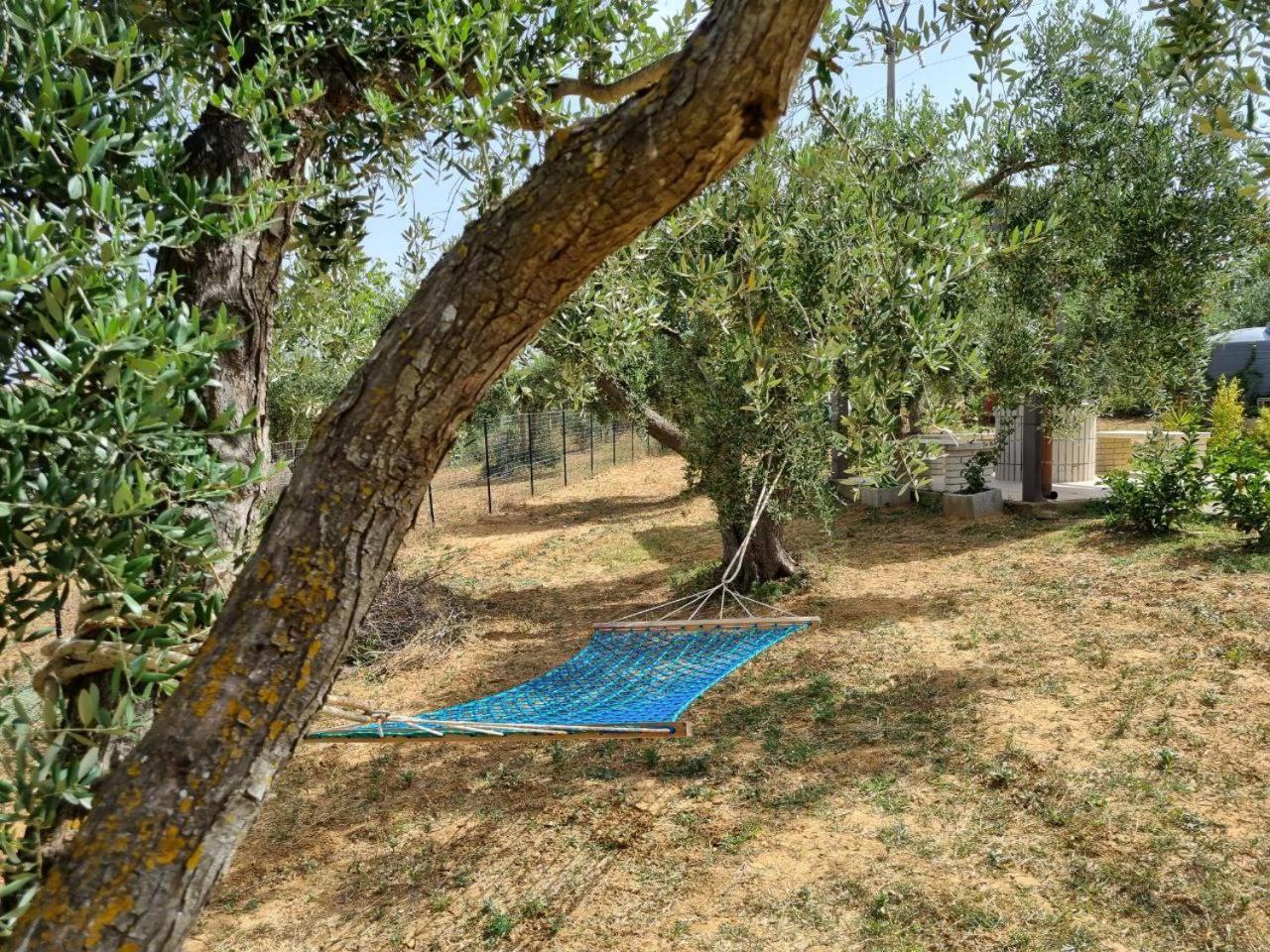 Accogliente Villa Con Piscina Caltagirone Exteriör bild
